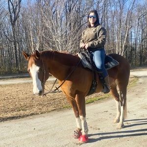 Meet your Posher, Alexa